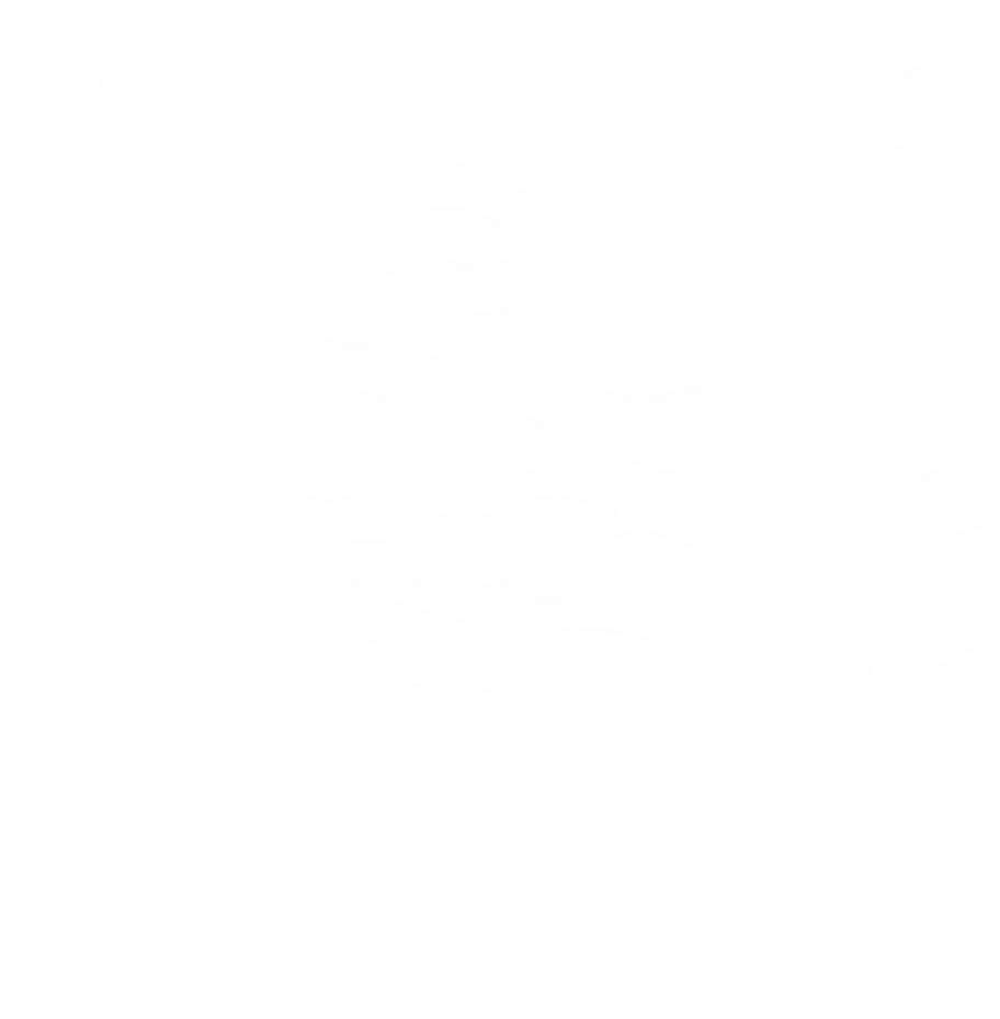 Somerset Smiles Tree Logo